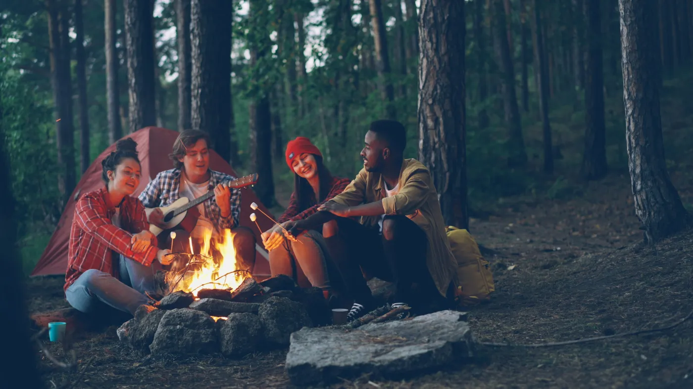 Forest Gathering
